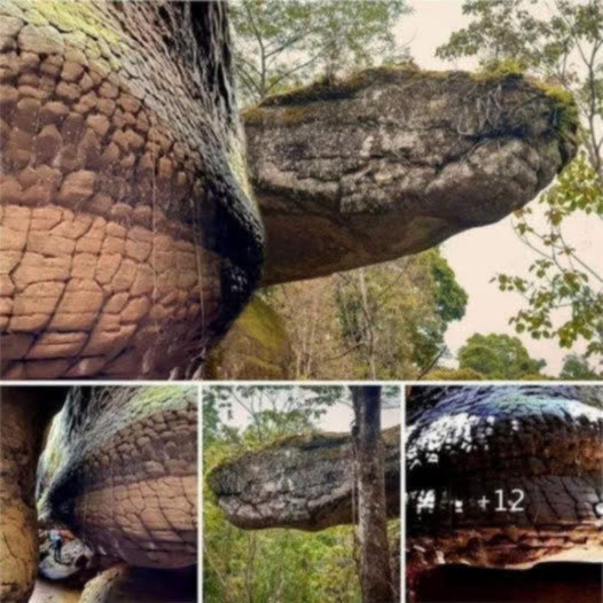 The discovery of the legendary giant snake mysteriously turned into stone left scientists puzzled.