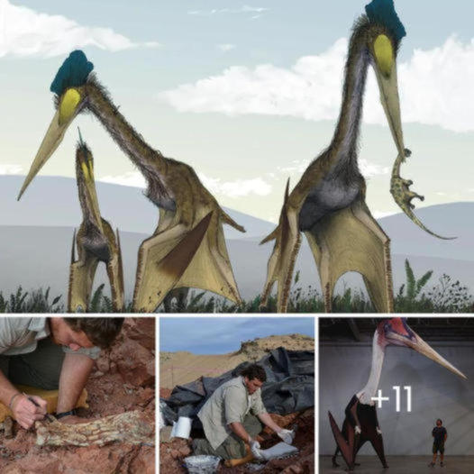 Argentina Unearths Ancient ‘Dragon of Death,’ a Massive Flying Reptile Revealing Prehistoric Wonders