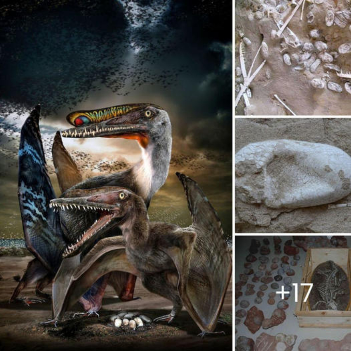 Jackpot discovery in China: 215 fossilized pterosaur eggs unearthed, revealing secrets of ancient winged reptiles