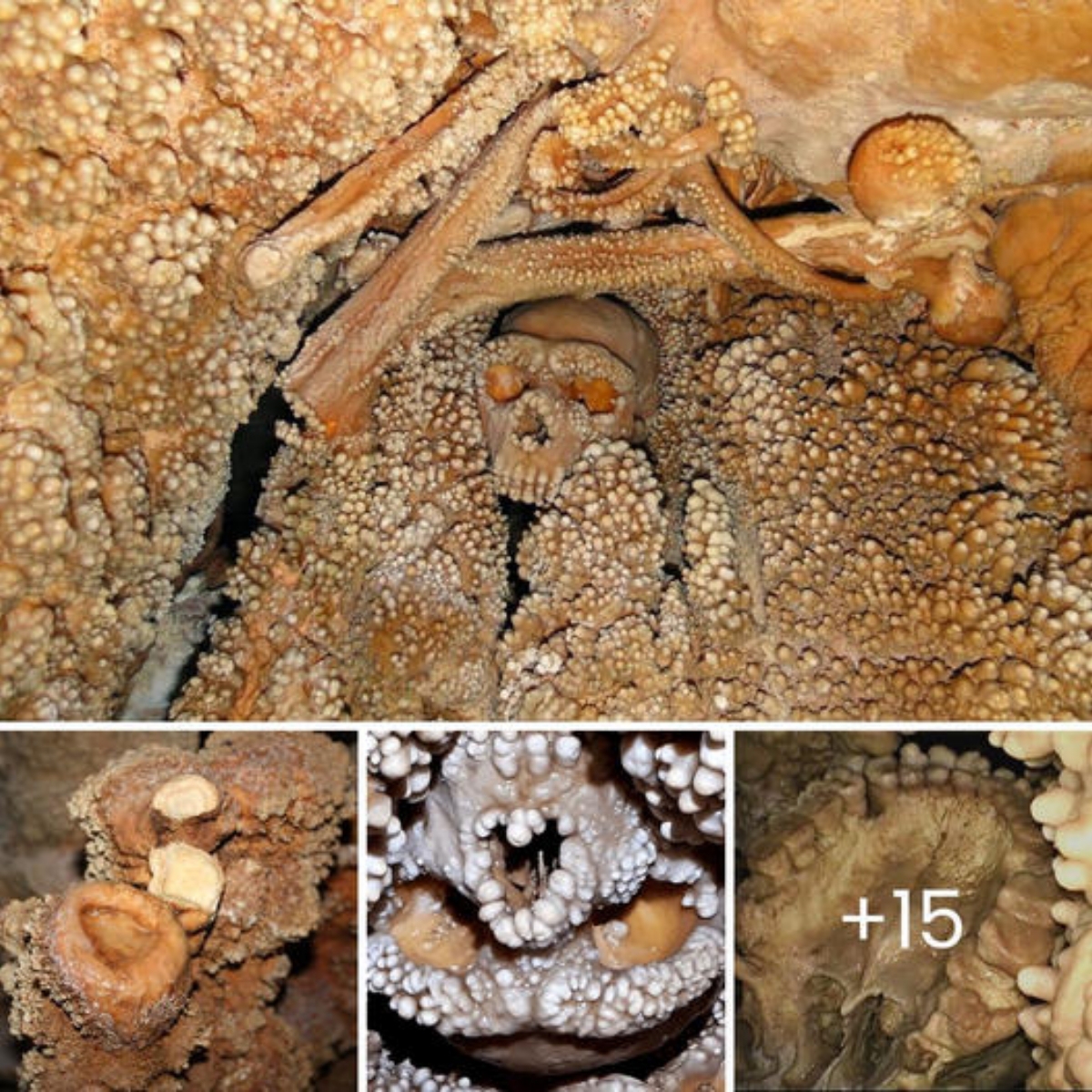 Unveiling Neanderthal Fate: Ancient Tragedy Uncovered in 150,000-Year-Old Fossil, Echoes of Starvation and Enigmatic Remains in a Sinkhole