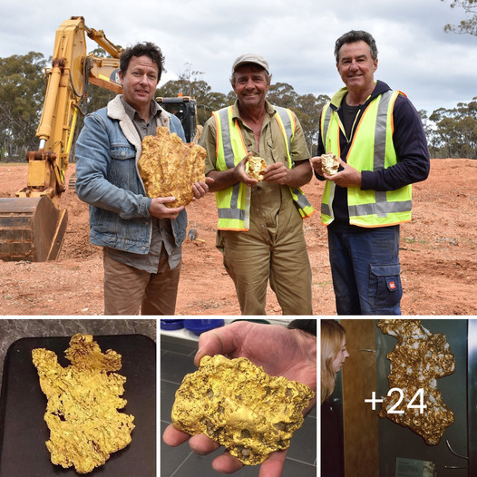 Terrified Puppy Finds Hope: Adopted by Ukrainian Soldiers, He Now Stands Guard Over His Brave Rescuers