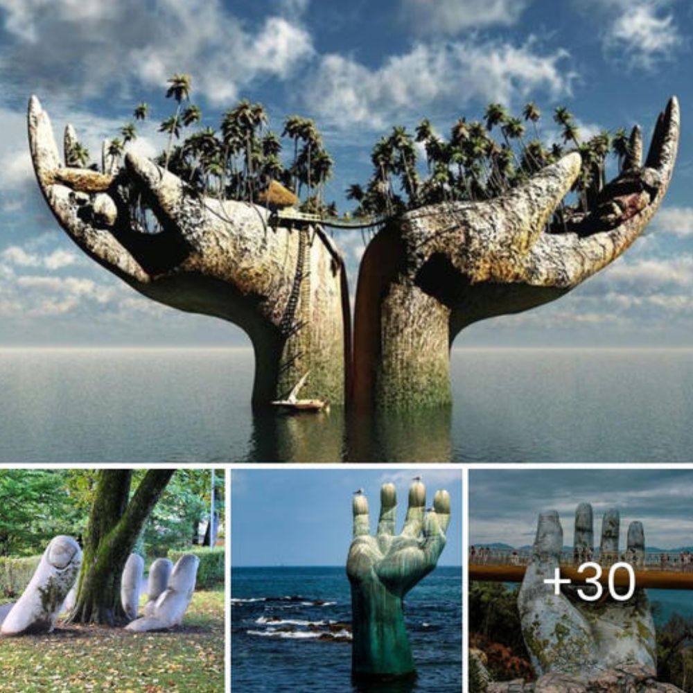 Heartbreaking Reality: Dog’s Horrific Injuries from Abuse and Abandonment, Collar Embedded Five Inches in Neck, Impossible to Remove