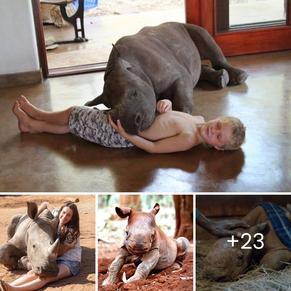 Emaciated Puppy Miraculously Survives and Saves a Child with Autism from the Abyss with Her Unconditional Love