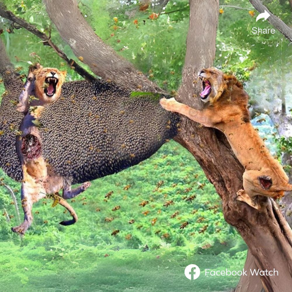 Tears of Joy: After Searching for His Lost Dog for Years, Man Gets Emotional Over Miraculous Reunion