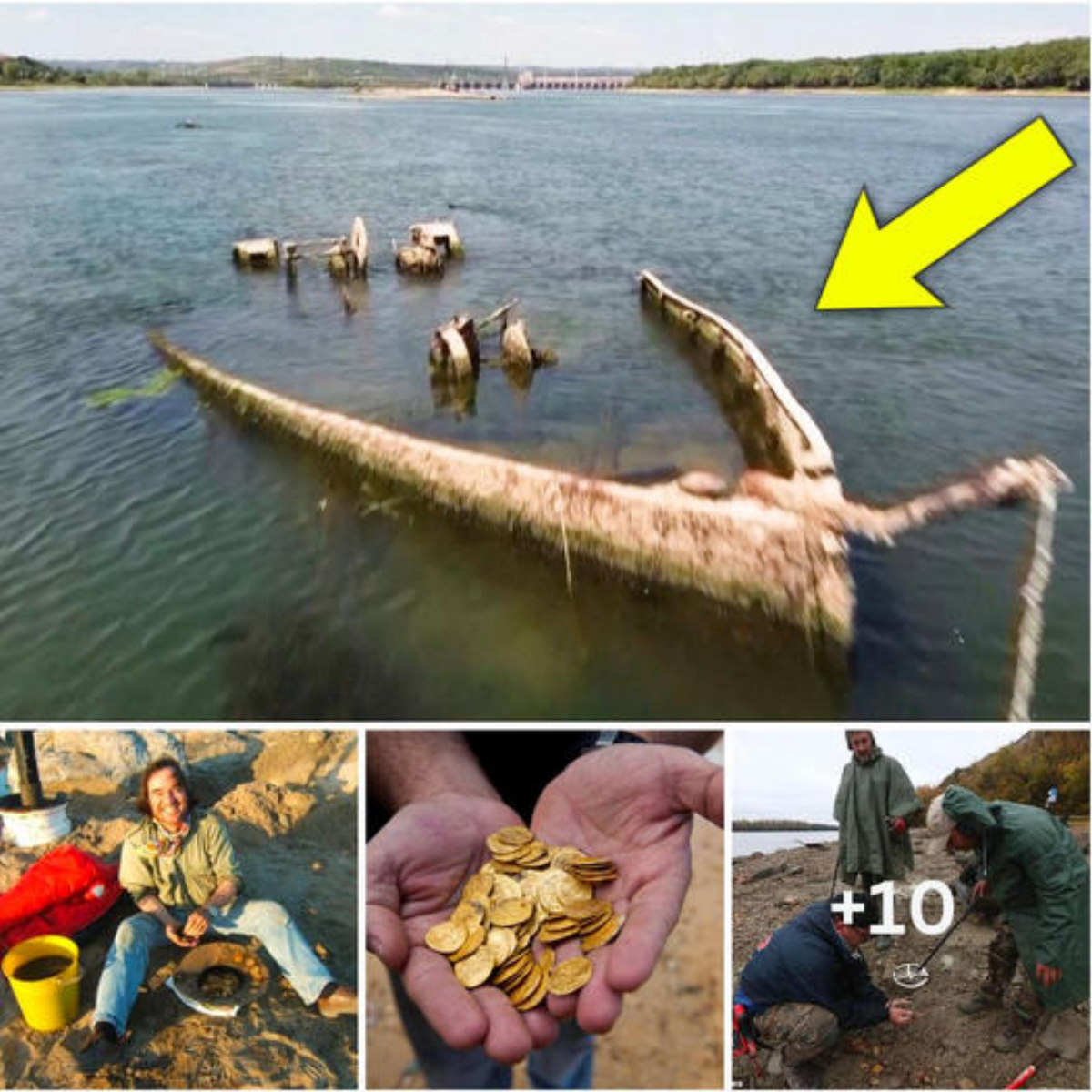 Rescate Esperanzador: Perrita Abandonada es Salvada Contra Todo Pronóstico, Encontrando un Hogar y una Nueva Oportunidad de Vida