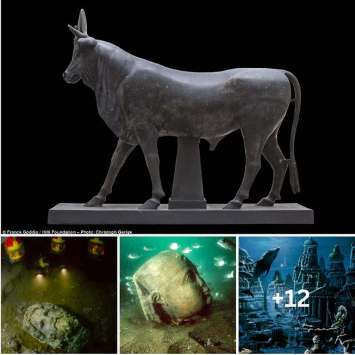 ¿Puedo acostarme aquí? Estoy muy cansado. Un perro con dolor aparece en el porche de una casa pidiendo ayuda y se niega a irse.