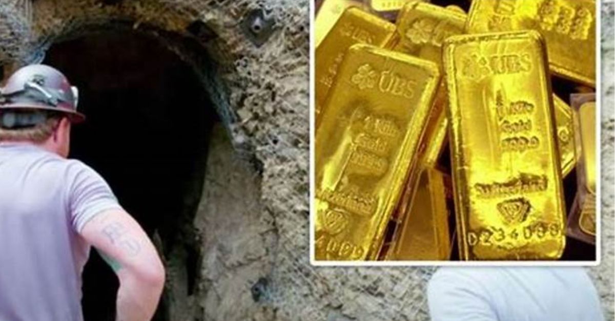 Rescate Dramático: Bomberos Obligados a Cortar el Tubo Donde una Perrita Quedó Atorada por 5 Horas