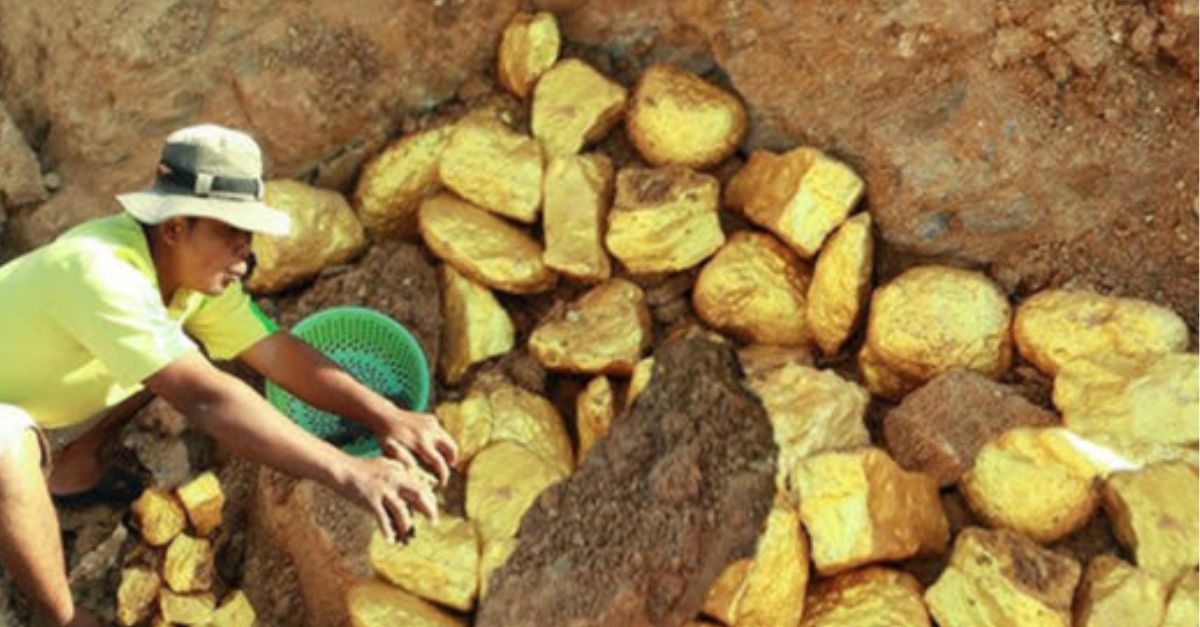 Conmovedor Rescate: Mujer de Vacaciones Salva a Perrito con Columna Fracturada y lo Lleva a Casa para Darle Amor