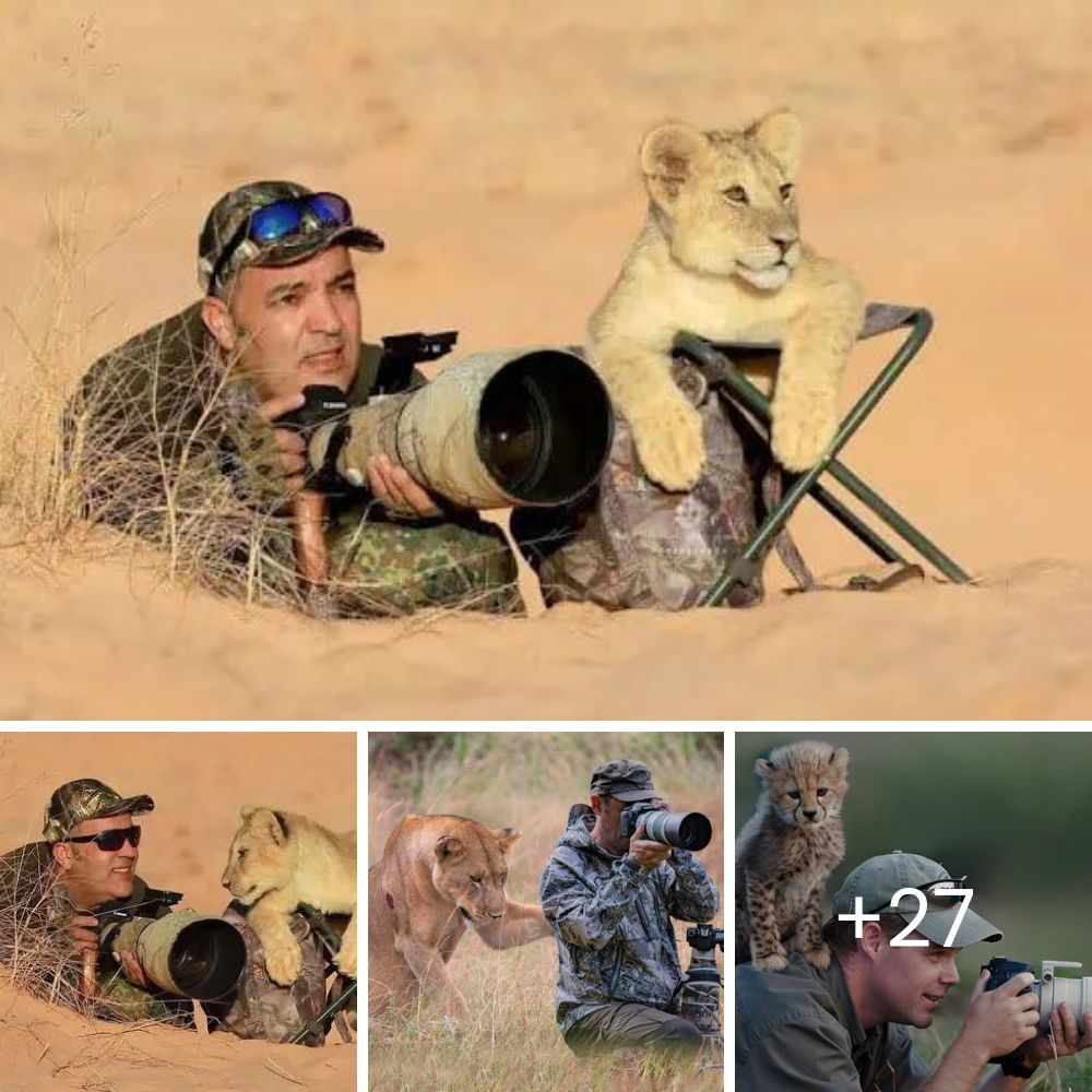 Una redención inolvidable: un perro abandonado y “feo” encuentra pertenencia y amor en un hogar permanente, desafiando el sesgo de la apariencia