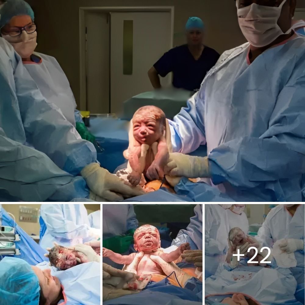 Amistad adorable: un cachorro perdido encontrado en el bosque forma un vínculo inquebrantable y encuentra un nuevo amigo