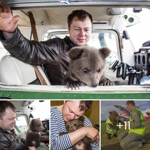 Abused Dog Stuck in Shelter for 450 Days Charms Everyone at Rehab, Finally Finds a Loving Forever Home