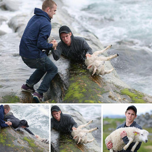 Brave act! Two young men rescued a ѕtгᴜɡɡɩіпɡ lamb from fast-flowing waters