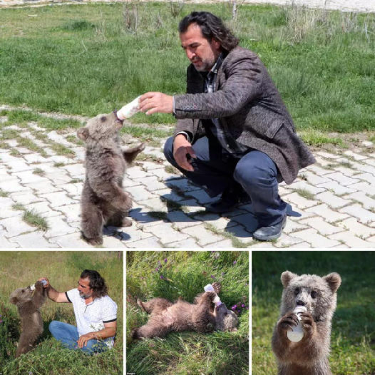 The hunger is over! Adorable orphan boy drinks milk from a bottle after being found wandering in the wilderness without his mother ‎