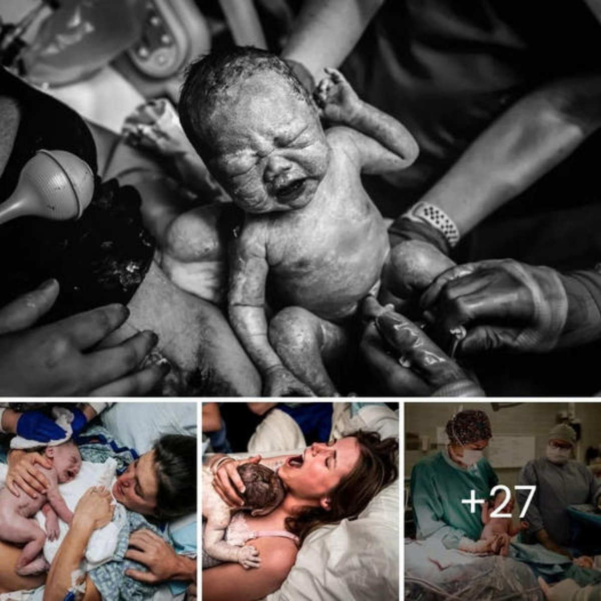 Man Moving Into New House Discovers Dog Chained in Basement; His Kindness Brings a Heartwarming New Beginning