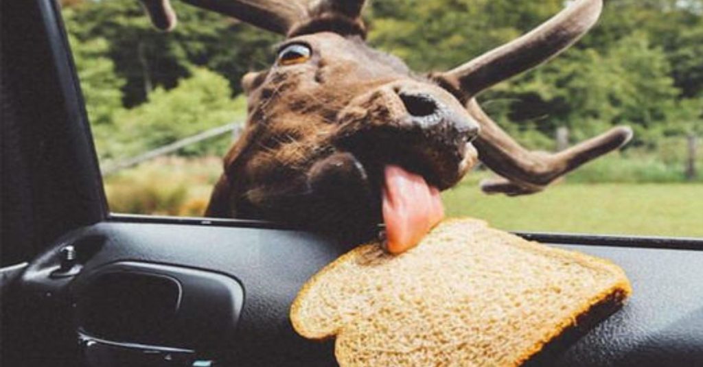 Unearthed Secrets: Scientists Unveil Enigmatic Discoveries in 4,400 ...