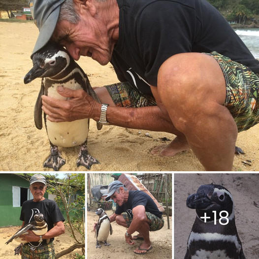 Not Even a Year Old, She Had Suffered So Much That She Was Ready to Die Without Ever Knowing Help