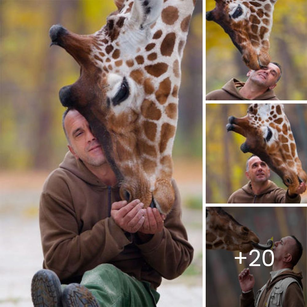 Sick and About to Cross the Rainbow, His Dog Received the Trip of a Lifetime Filled with Love and Joy