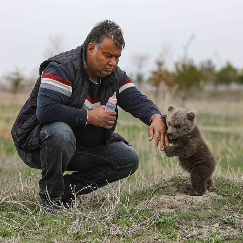 Finally, The hunger is over! Adorable orphan boy drinks milk from bottle after being found wandering in the wilderness without his mother