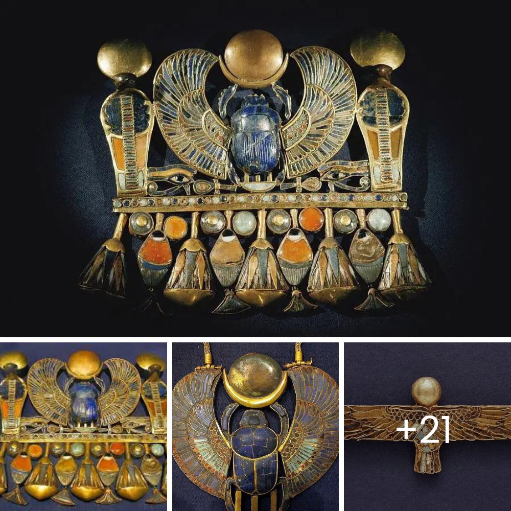 Puppy on the brink of euthanasia sits and smiles at everyone at the shelter, touching hearts with his hope.