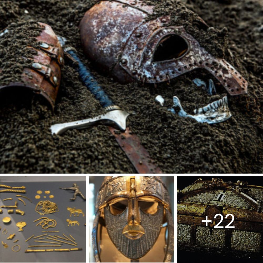 Rescued Dog With One Missing Eye Seeks Loving Home That Will Love Him Forever—A Heartwarming Appeal