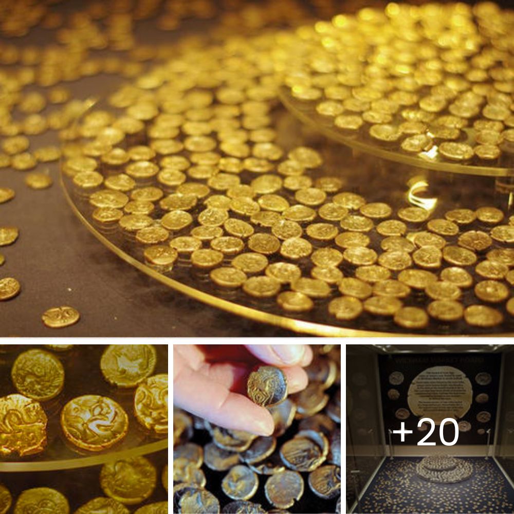 “Wow! you look gorgeous now” – Rescued Puppy Surprises With a New Look: From Pink and Wrinkled to a Symbol of Hope and Transformation