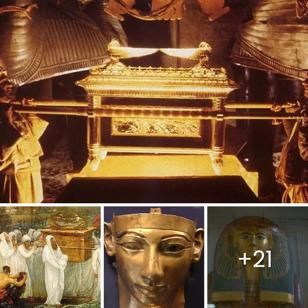 This is His Home: A Forgotten, Dirty Sofa Left as Trash Becomes a Safe Haven for a Lonely Soul