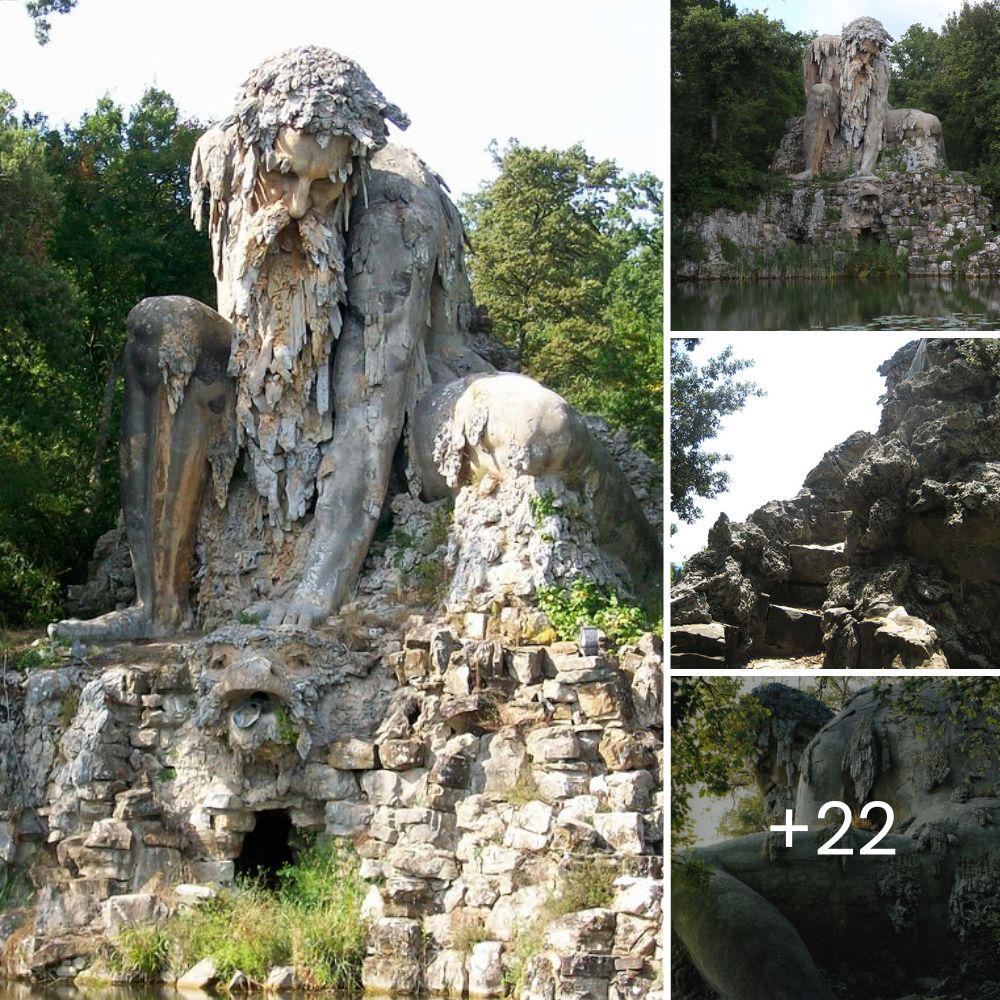 Paralyzed Dog Courageously Crawls Out from Under Abandoned Home, Finding Hope and Safety in Rescuer’s Loving Arms