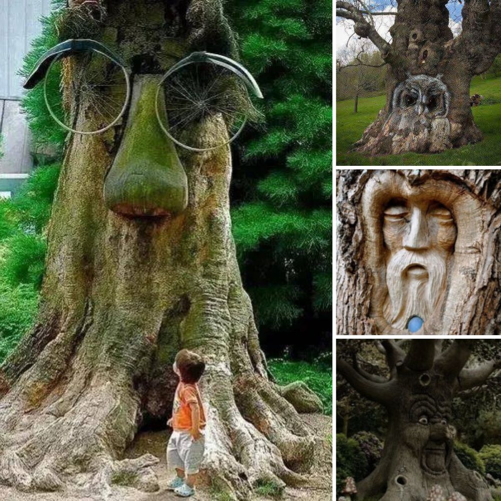 Abandonada y Herida, Apenas Asomó su Cabeza Fuera de la Caja, Suplicando con Esperanza por Ayuda