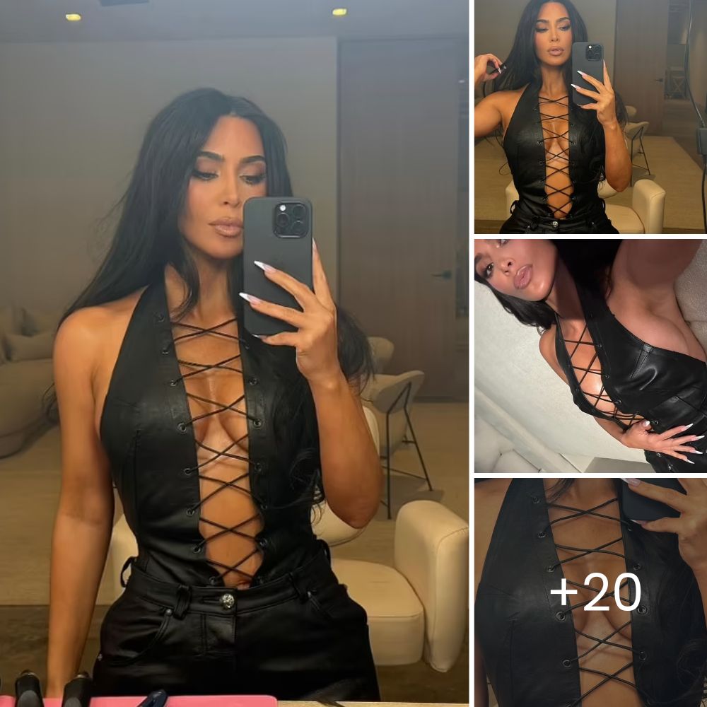 Timmy, a Survivor: Rescued from One of the Largest Dogfighting Busts in History, Now Finds Love and Hope Again