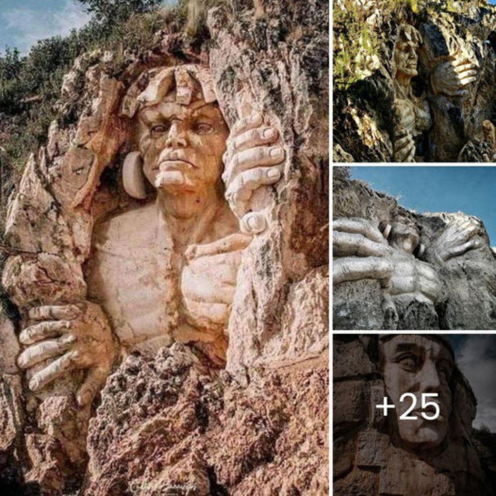 Abandoned in a Suitcase: Rescued Pup Defies Death and Finds Love in a World That Almost Forgot Her