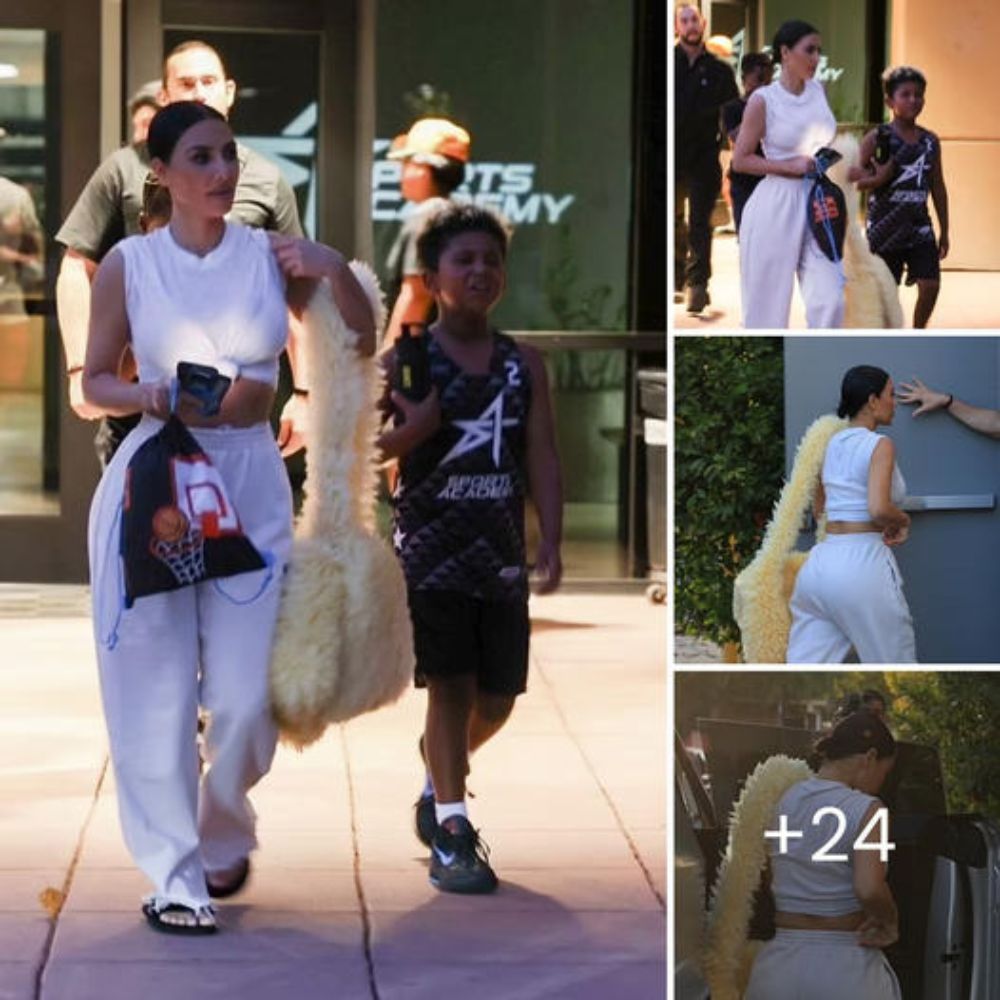 Cachorrito asustado se esconde en un rincón hasta que las cicatrices de su pasado finalmente desaparecen con amor