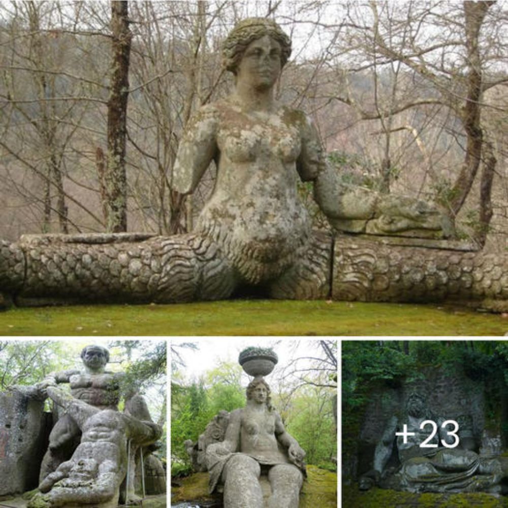 Heartbroken Shelter Dog Loses All Hope When Her Best Friend Gets Adopted Without Her—Will She Ever Find Love Again?