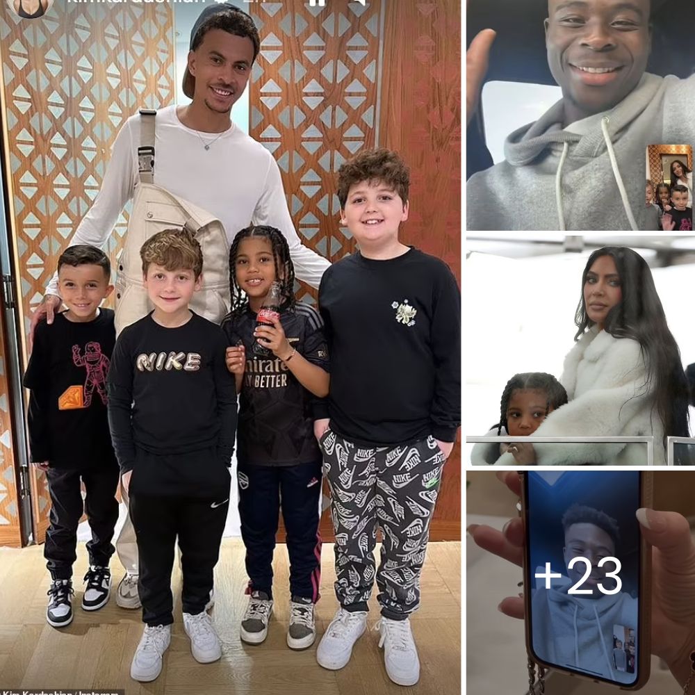 Stray Dog Who Chased a Woman Turns Out to Be a Hidden Treasure, Bringing Joy and Love to His New Home