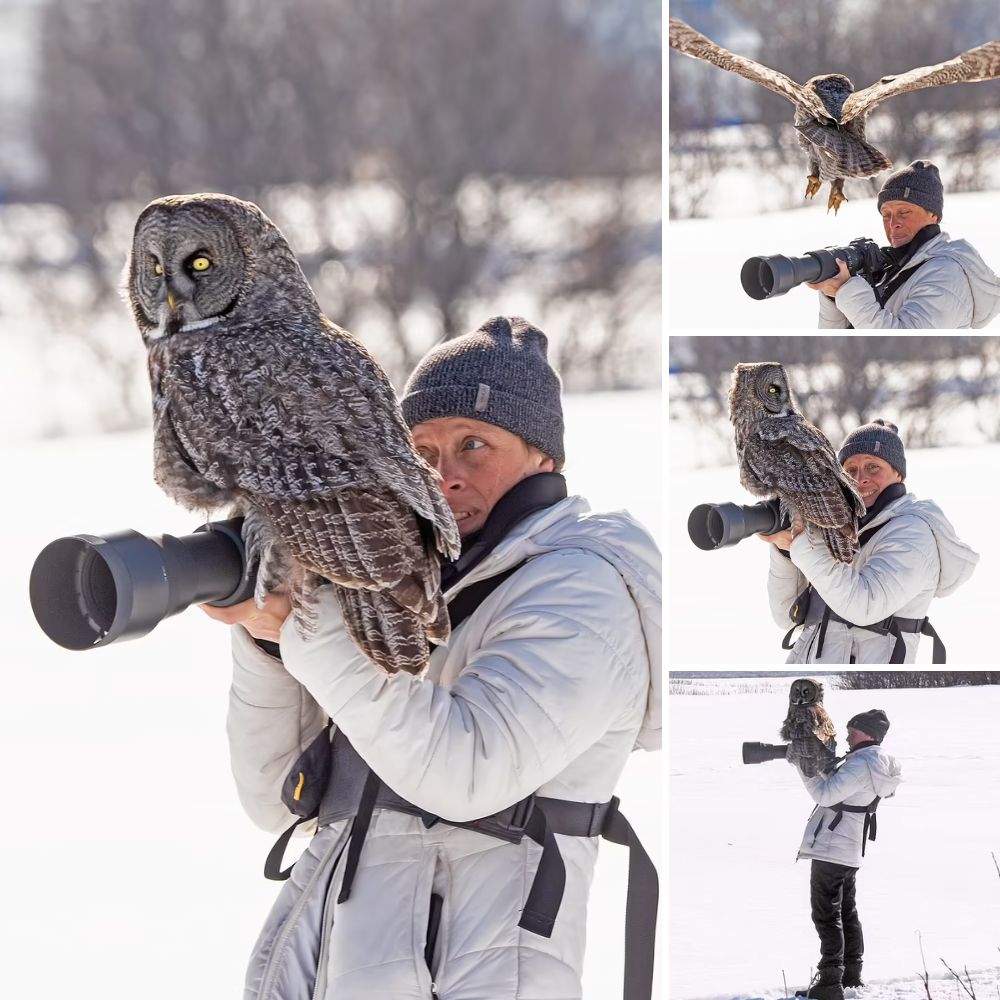 Un perrito en silla de ruedas, devuelto 4 veces, encuentra un hogar con un hombre que comparte su misma condición.
