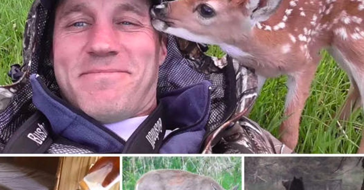 Después de 14 Años Encadenado, Un Perro Finalmente Siente el Calor del Amor y No Puede Creerlo Real