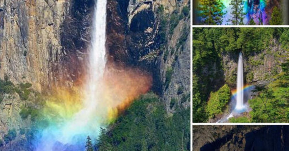 Perrito no puede creer que, después de años vagando solo por la calle, finalmente está en los brazos de su mamá