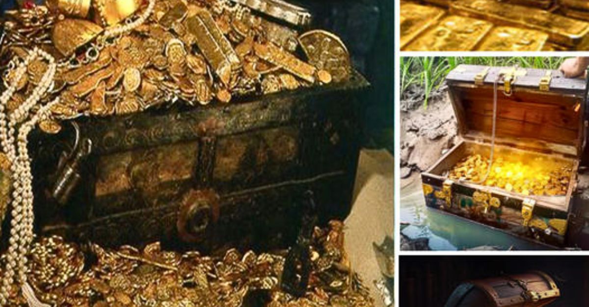 Emotiva Transformación: Galgo Rescatado de la Negligencia Renace, con Imágenes Antes y Después que Conmueven el Corazón