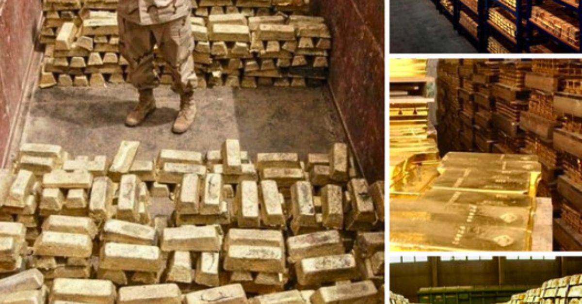 La Encuentran Amarrada a un Barandal con Trozos de Pizza y una Nota Desgarradora, Esperando un Nuevo Comienzo