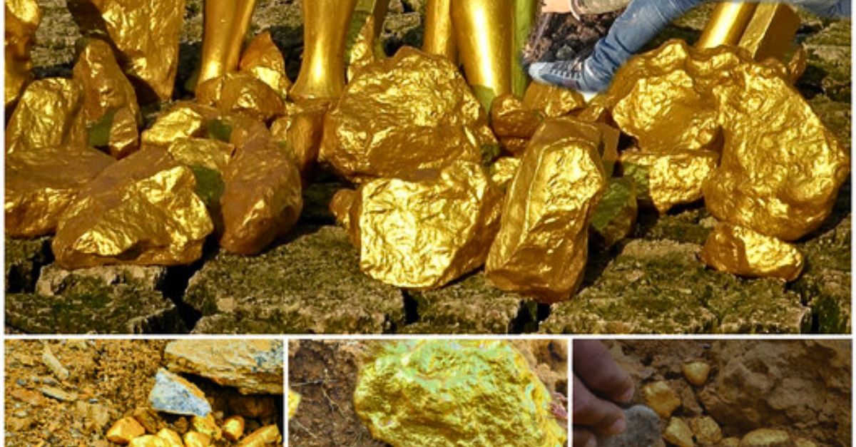 Two Sick Dogs, United by Need, Are Captured in a Beautiful Act of Love and Solidarity