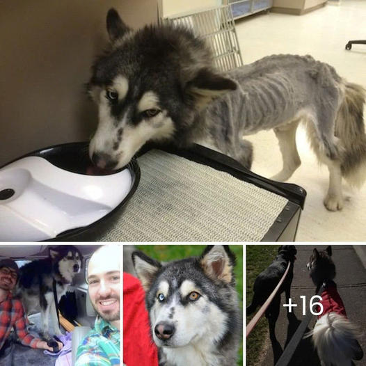 Trabajadores descubren algo moviéndose en la basura; al acercarse, se dan cuenta que no hay tiempo que perder para salvarlo