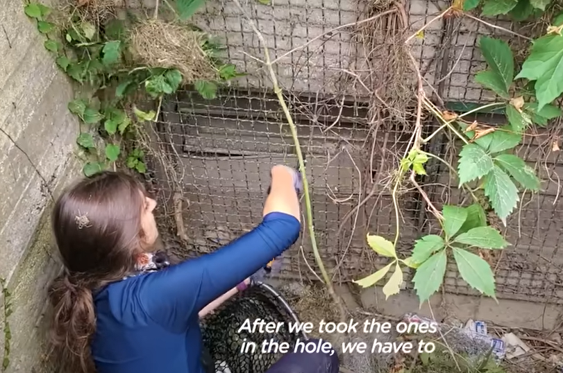 Un Hombre Abandona a Su Perro en una Caja, Pero el Amor y la Esperanza Llenan el Vacío de su Desesperación