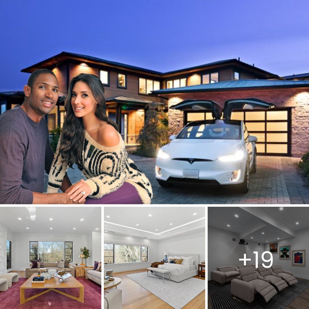 From Rejected to Cherished: The Heartwarming Transformation of a Puppy Abandoned for ‘No Longer Being Cute’