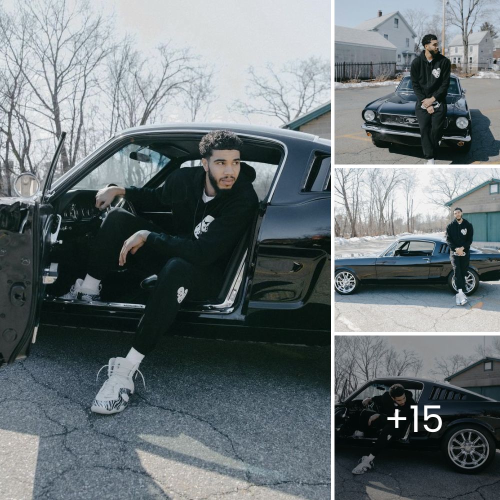 Abandoned and Pregnant, a Heartbroken Dog Waits in Vain for the Family That Left Her Behind to Come Home