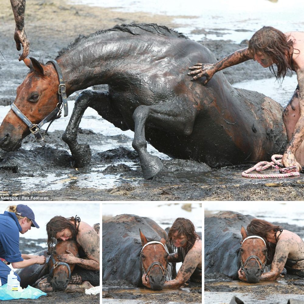 This was the teггіfуіпɡ moment a brave young mother Ьаttɩed to keep her beloved horse calm as sea water closed in on the animal after he became trapped in mud ‘like quicksand’.