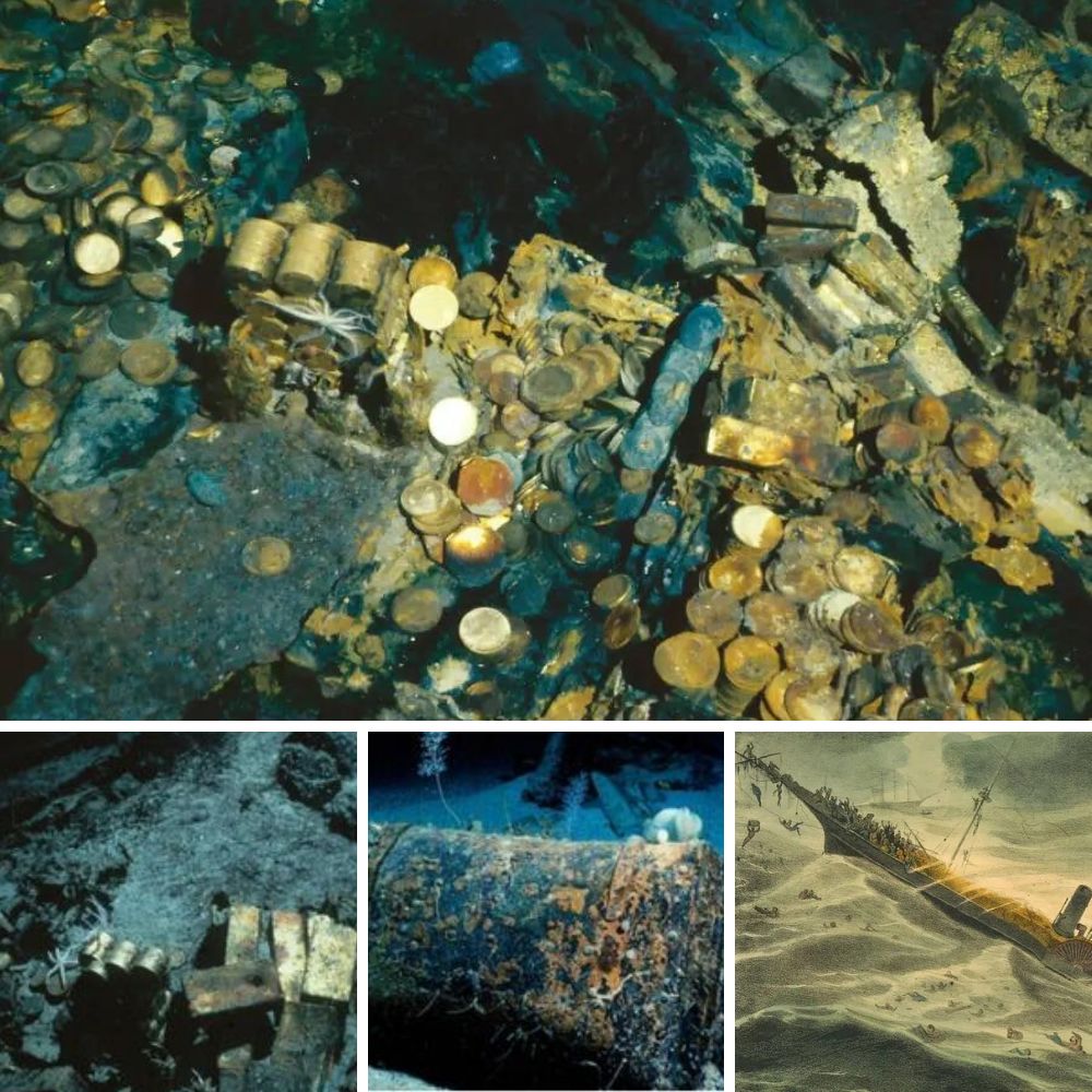 Intentan desesperadamente separar a un ‘peligroso’ jaguar de un perrito indefenso, pero todo esfuerzo parece inútil