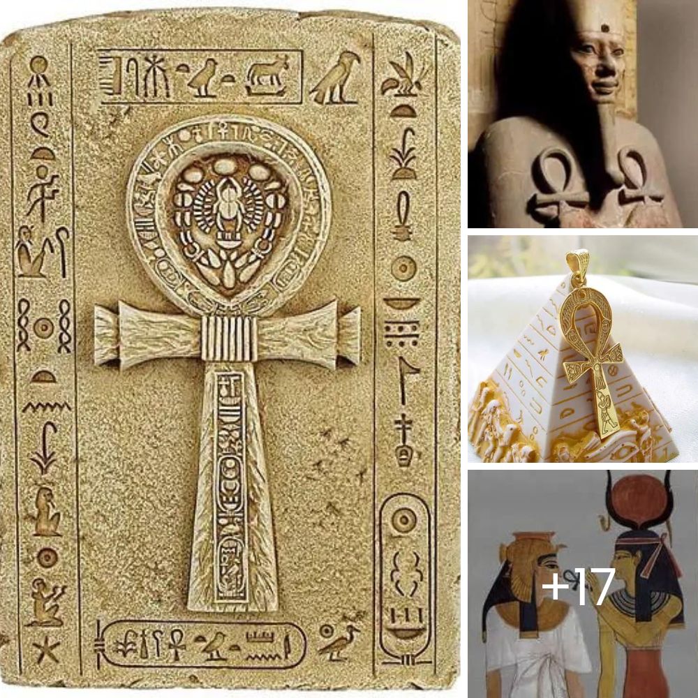 A boy puts his life in danger to rescue a dog that was run over and abandoned in the middle of the road