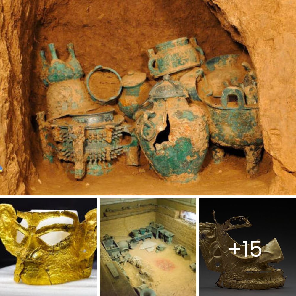 The Heartbreaking Struggle of a Blind Dog Abandoned for Over 10 Years, Fighting for Survival on the Streets