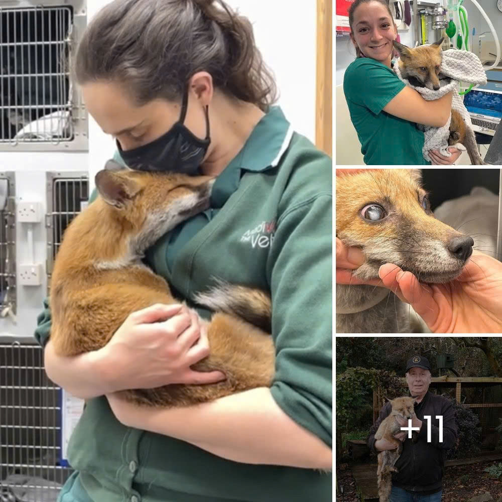 She spots a moving sack by the roadside and discovers a helpless little dog inside, waiting to be saved.
