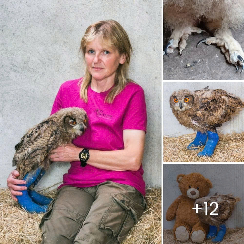 “Omg, Harleyyy” – Woman Shares Emotional Reunion With Her Missing Dog After 8 Years Apart