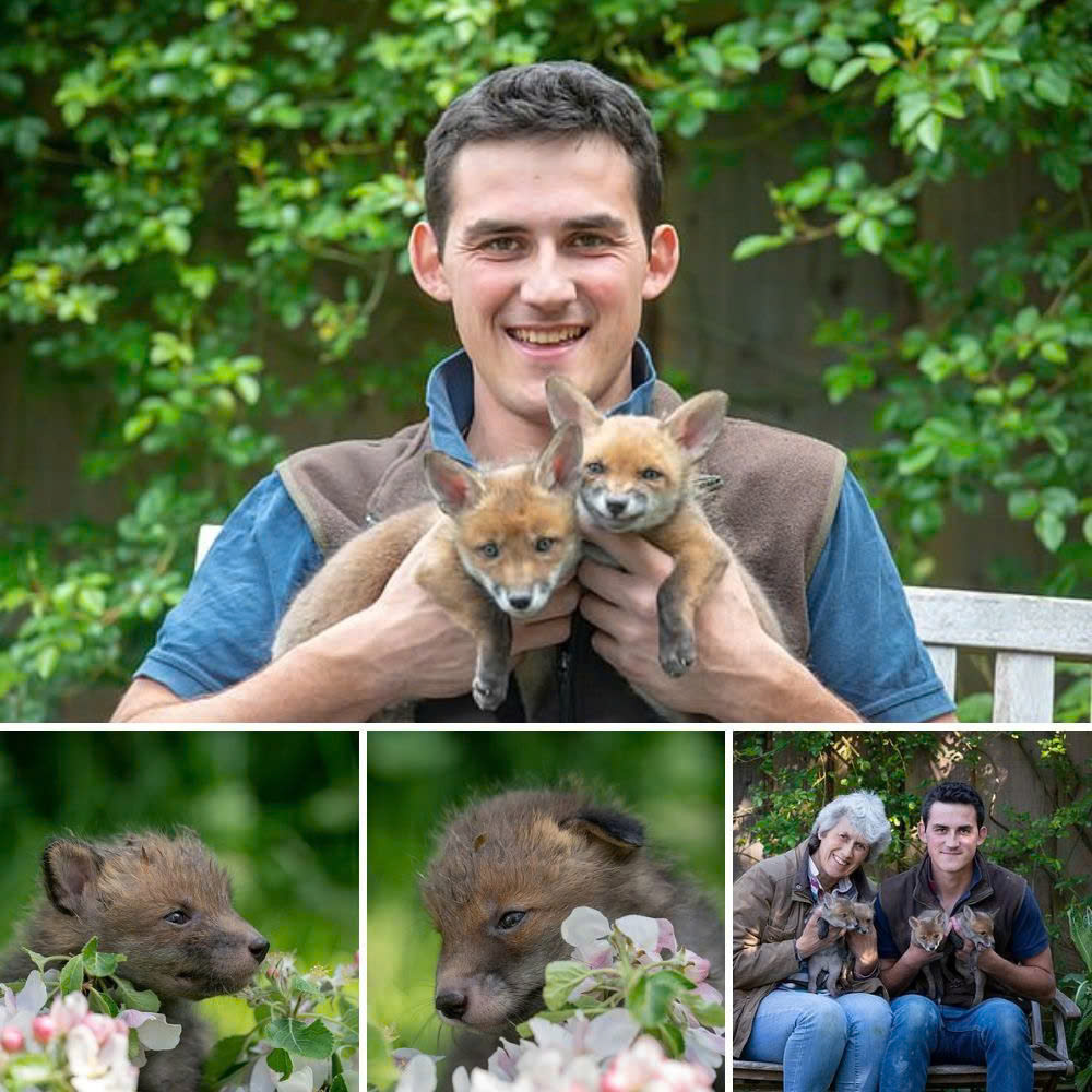 Abandonado en el desierto y al borde de la muerte, un perrito ruega silenciosamente por un milagro para sobrevivir.